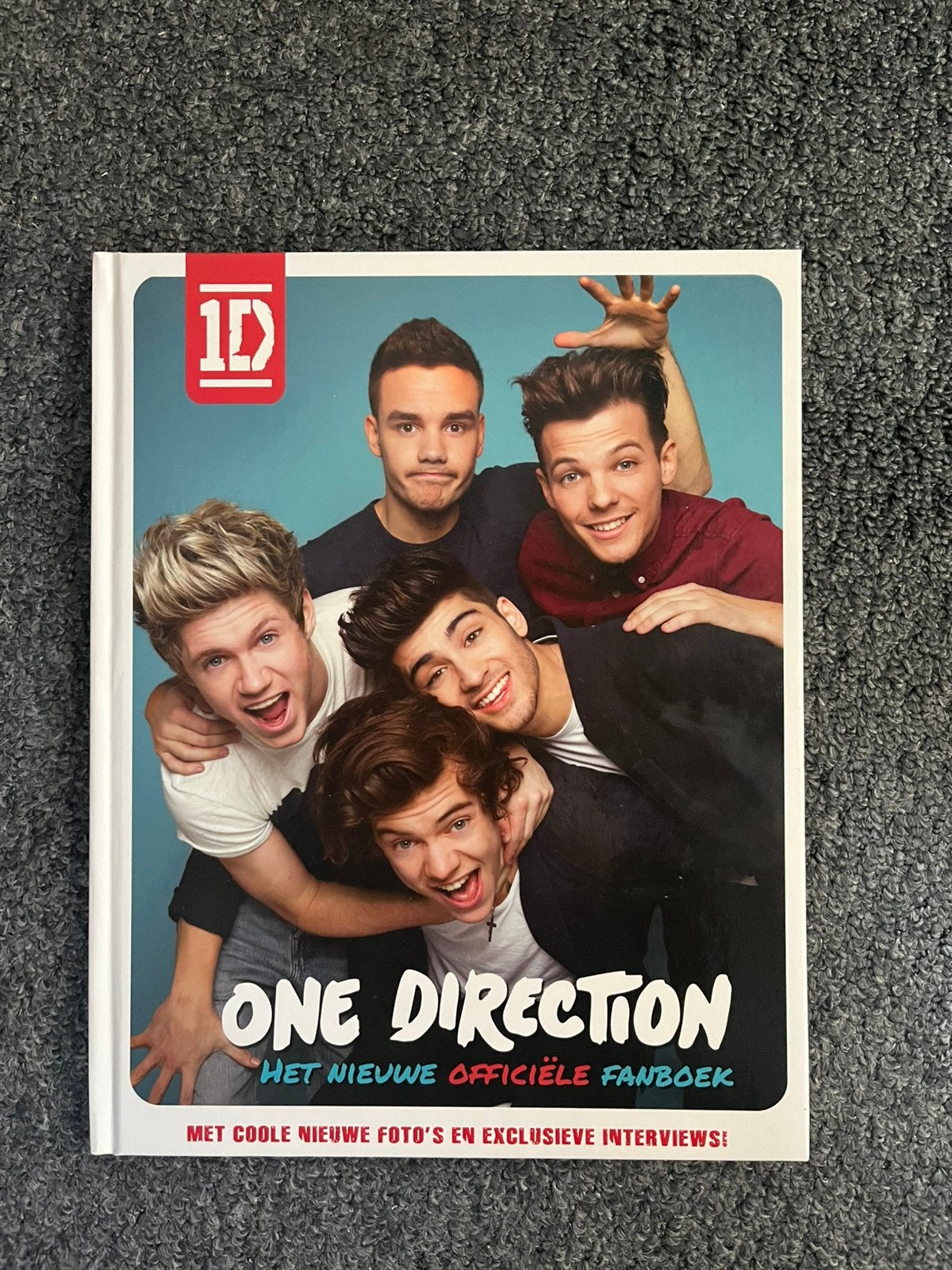 One Direction boek, Ophalen of Verzenden, Zo goed als nieuw, Personen