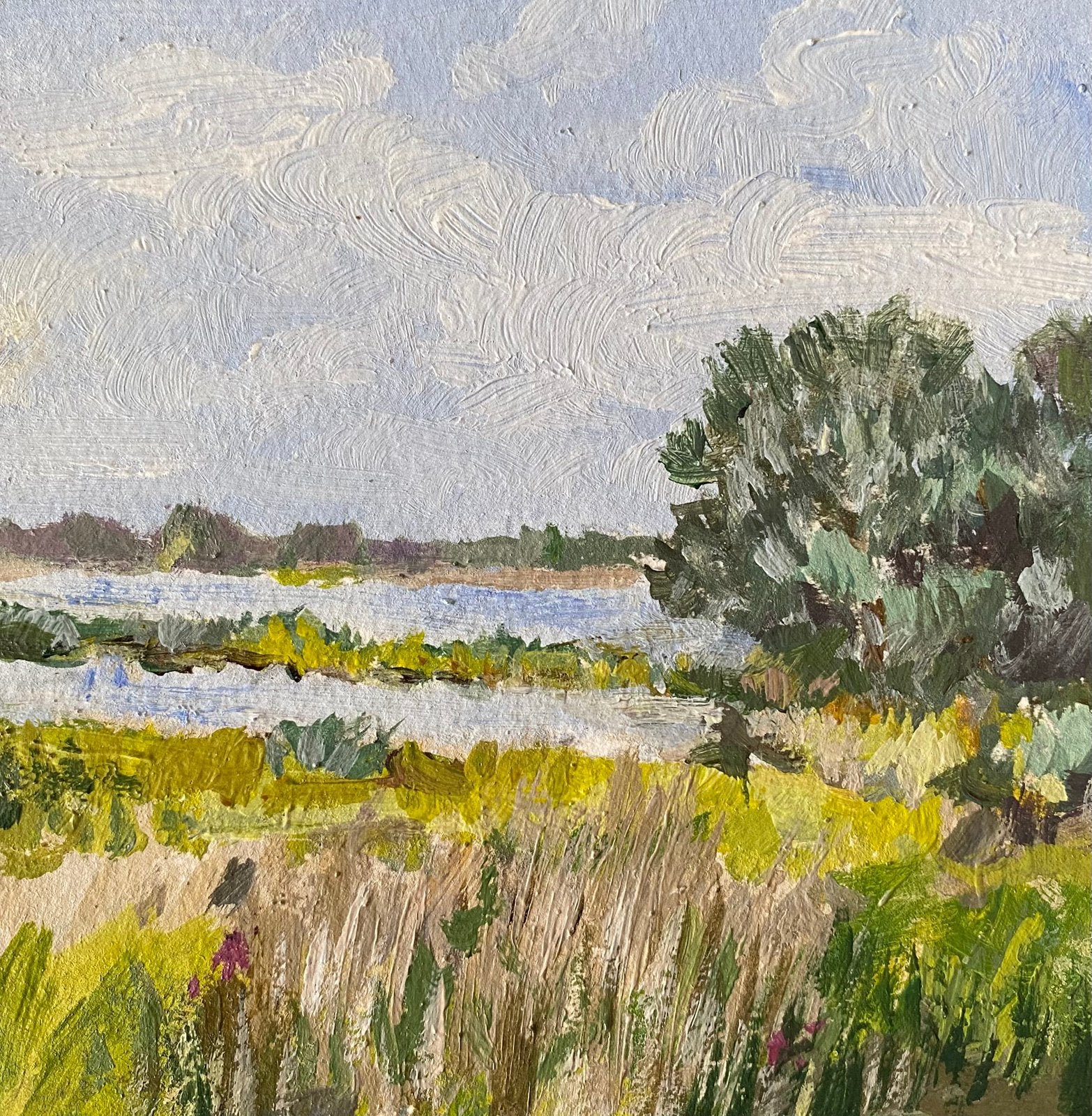 Landschap, Ophalen of Verzenden