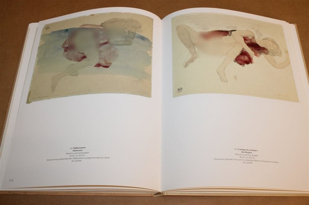 Erotique Rodin — Erotische Tekeningen en Aquarellen, Ophalen of Verzenden, Zo goed als nieuw