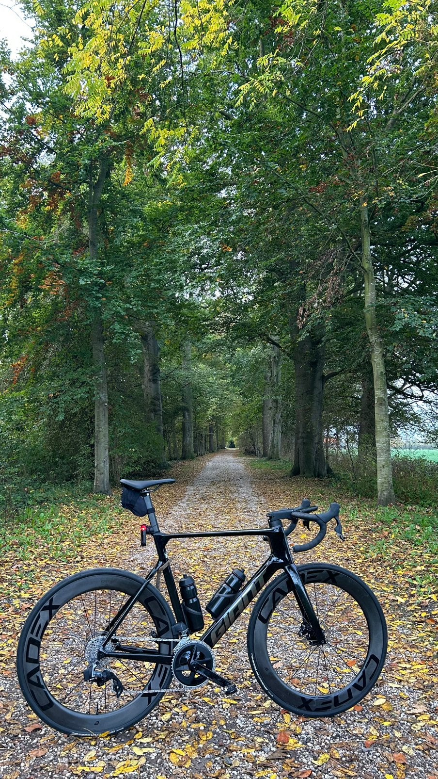 Giant Propel Advanced Pro met Cadex en Sram, Ophalen, 28 inch, Carbon, Heren