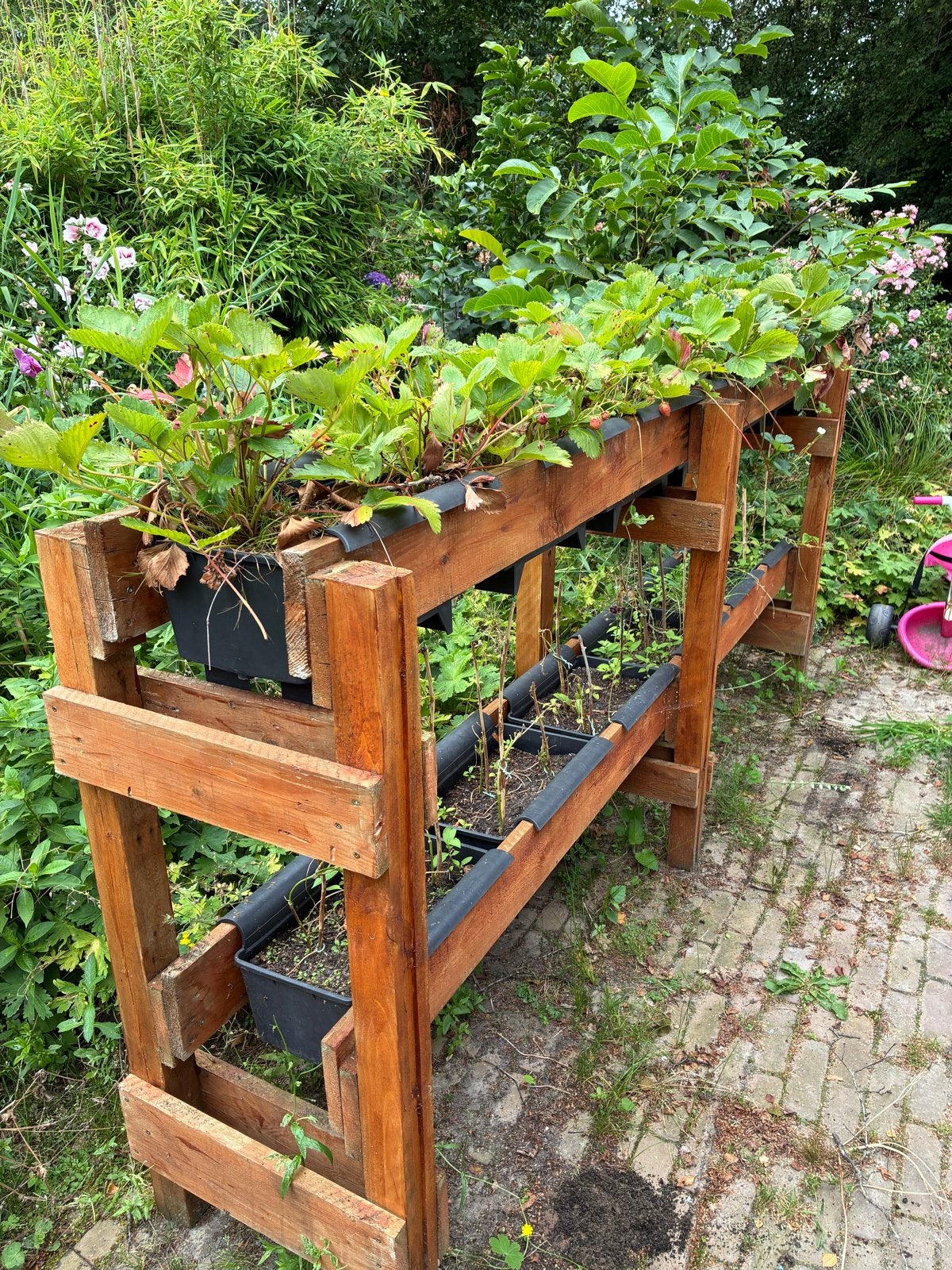 Aardbeienrek / Groenterek voor Bato bakken - Circulair Hout, Tuin en Terras, Ophalen, 100 cm of meer, Nieuw, 60 cm of meer