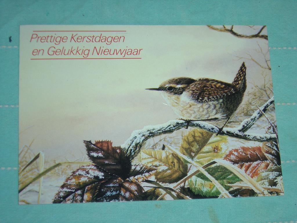 25) Kleuren ansichtkaart  Vogels, Ophalen of Verzenden, 1980 tot heden, Gelopen, Vogel