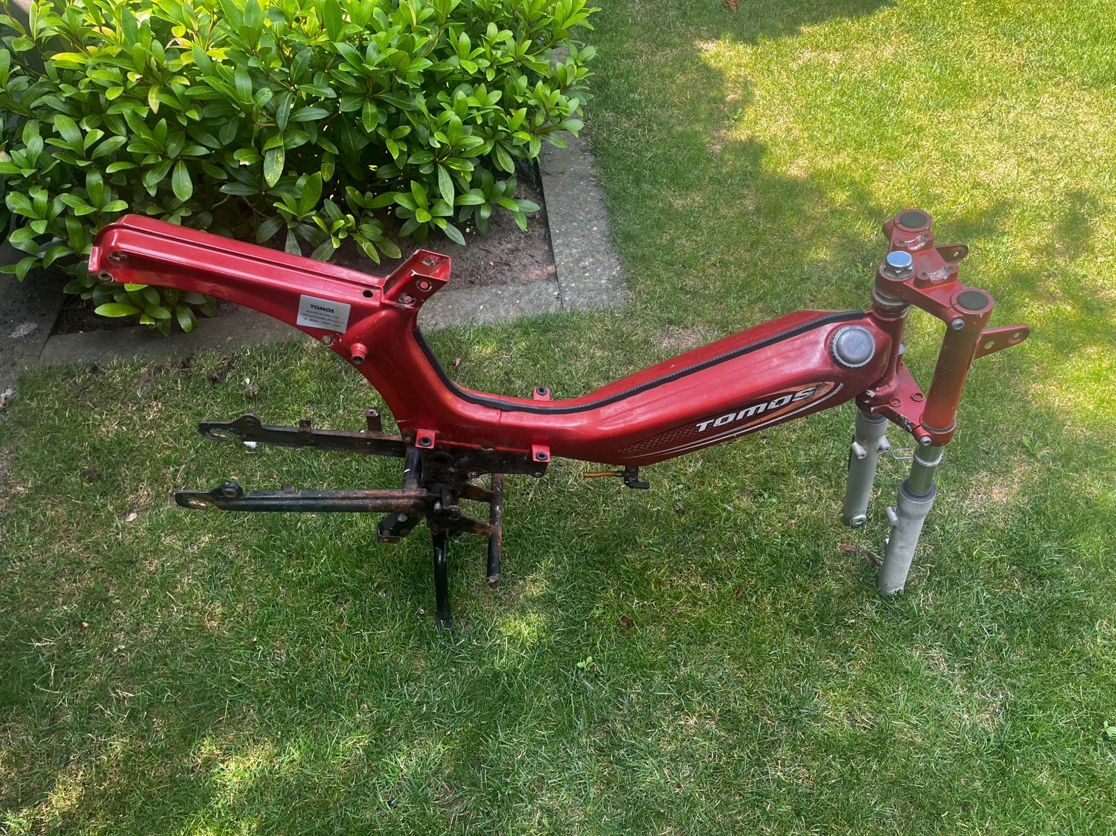 Tomos project blauw kenteken, Ophalen, Gebruikt, Overige modellen, Maximaal 25 km/u