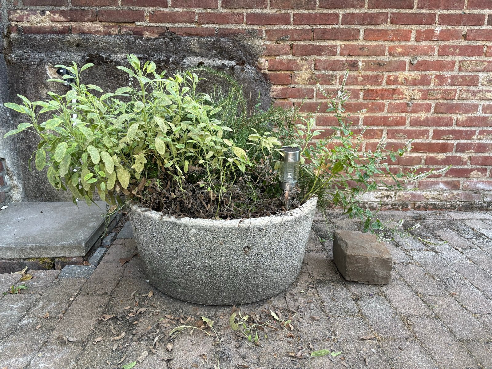 Stenen plantenbak met kruiden (salie, rozemarijn, munt), Ophalen, Steen, Gebruikt, Balkon