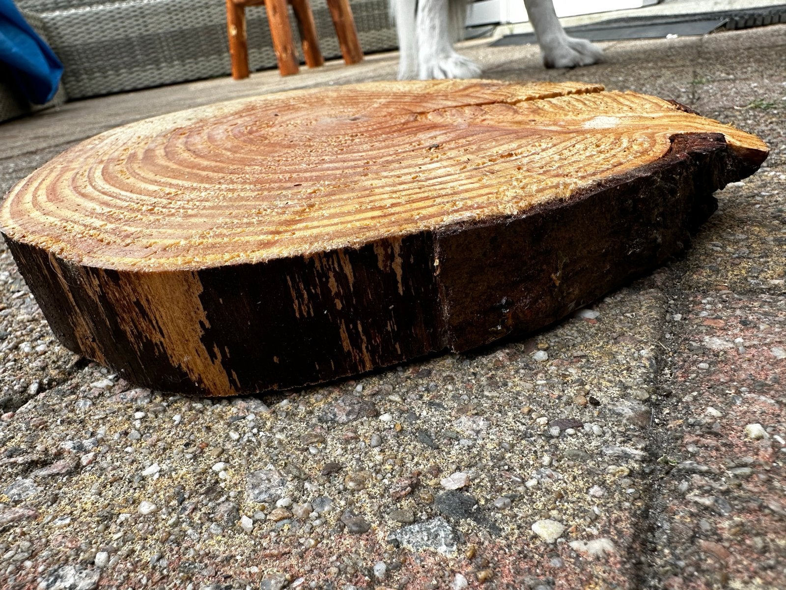 15 stuks Decoratieve Houtschijf - Boomstam, Tuin en Terras, Haardhout, Minder dan 3 m³, Ophalen, Overige houtsoorten, Stammen