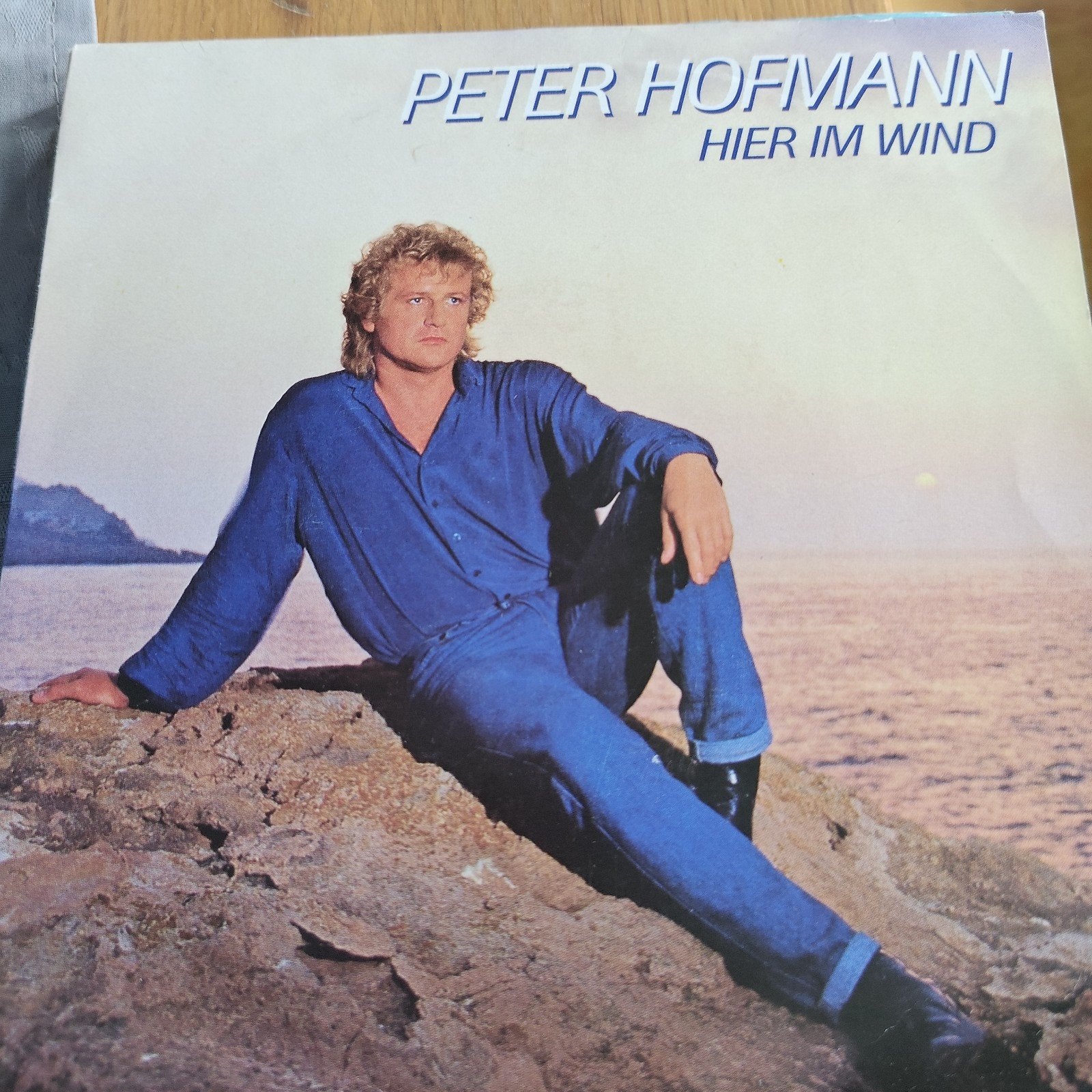 Peter Hofmann - Hier im Wind (Vinyl Single), Ophalen of Verzenden, Gebruikt, 7 inch