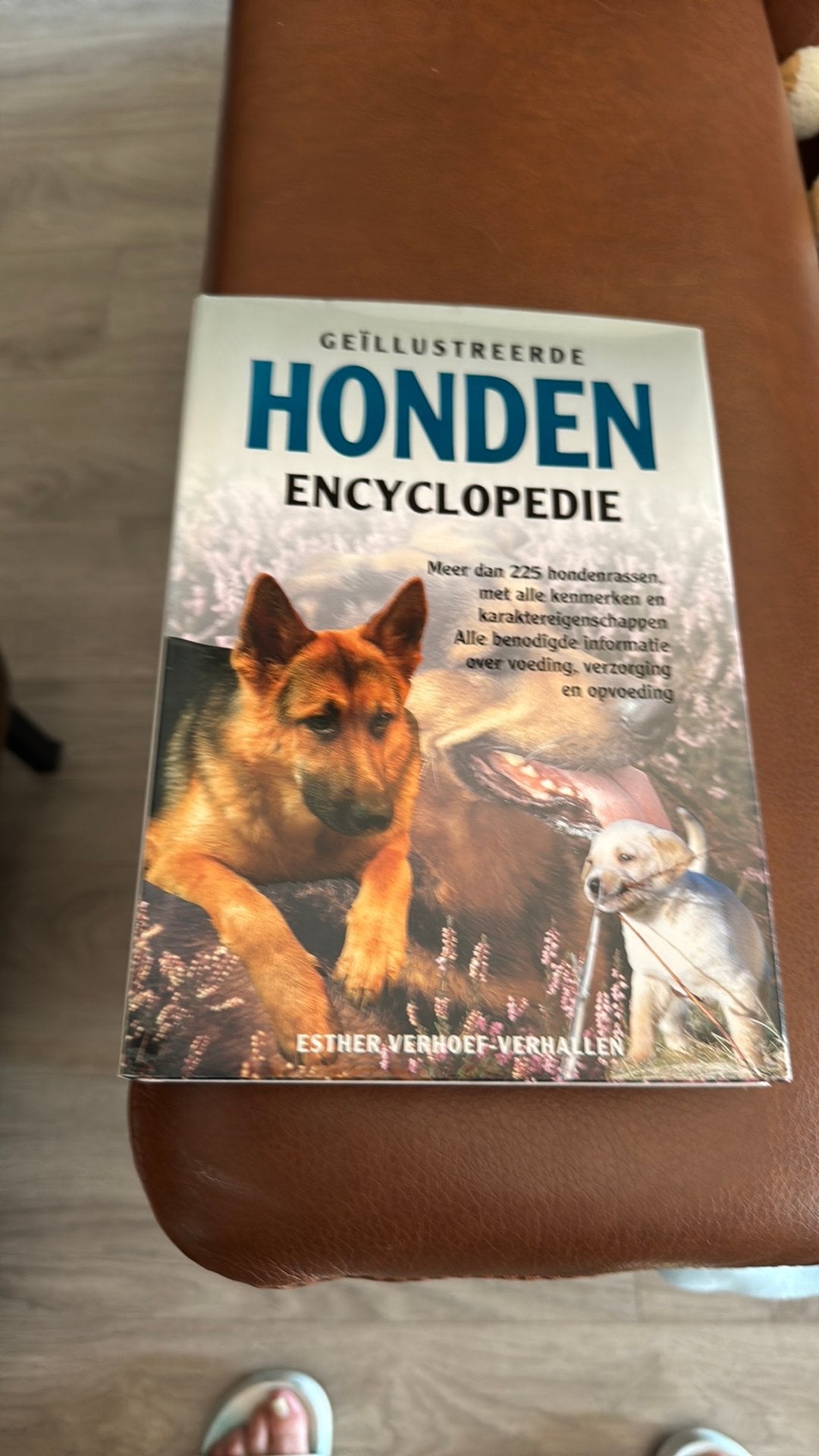 Geïllustreerde Honden Encyclopedie, Ophalen of Verzenden, Zo goed als nieuw, Honden