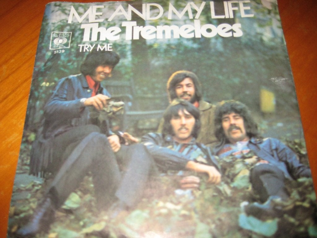 The Tremeloes: Me and my life, Ophalen of Verzenden, Zo goed als nieuw, Pop