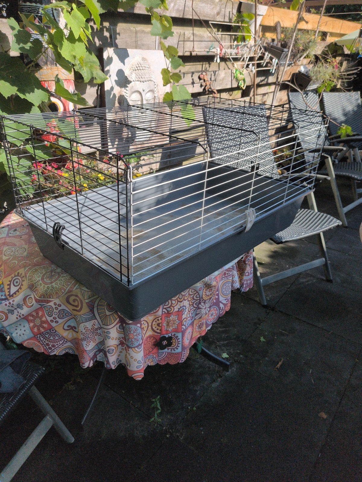 Caviakooi , compleet., Kooi, Gebruikt, Cavia, 75 tot 110 cm