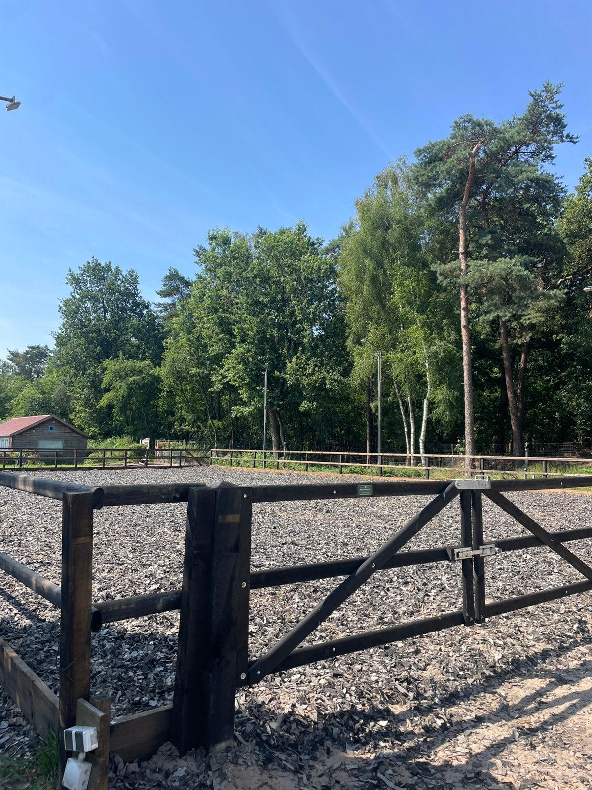 Plek voor pony op paddock paradise, Toebehoren, 2 of 3 paarden of pony's