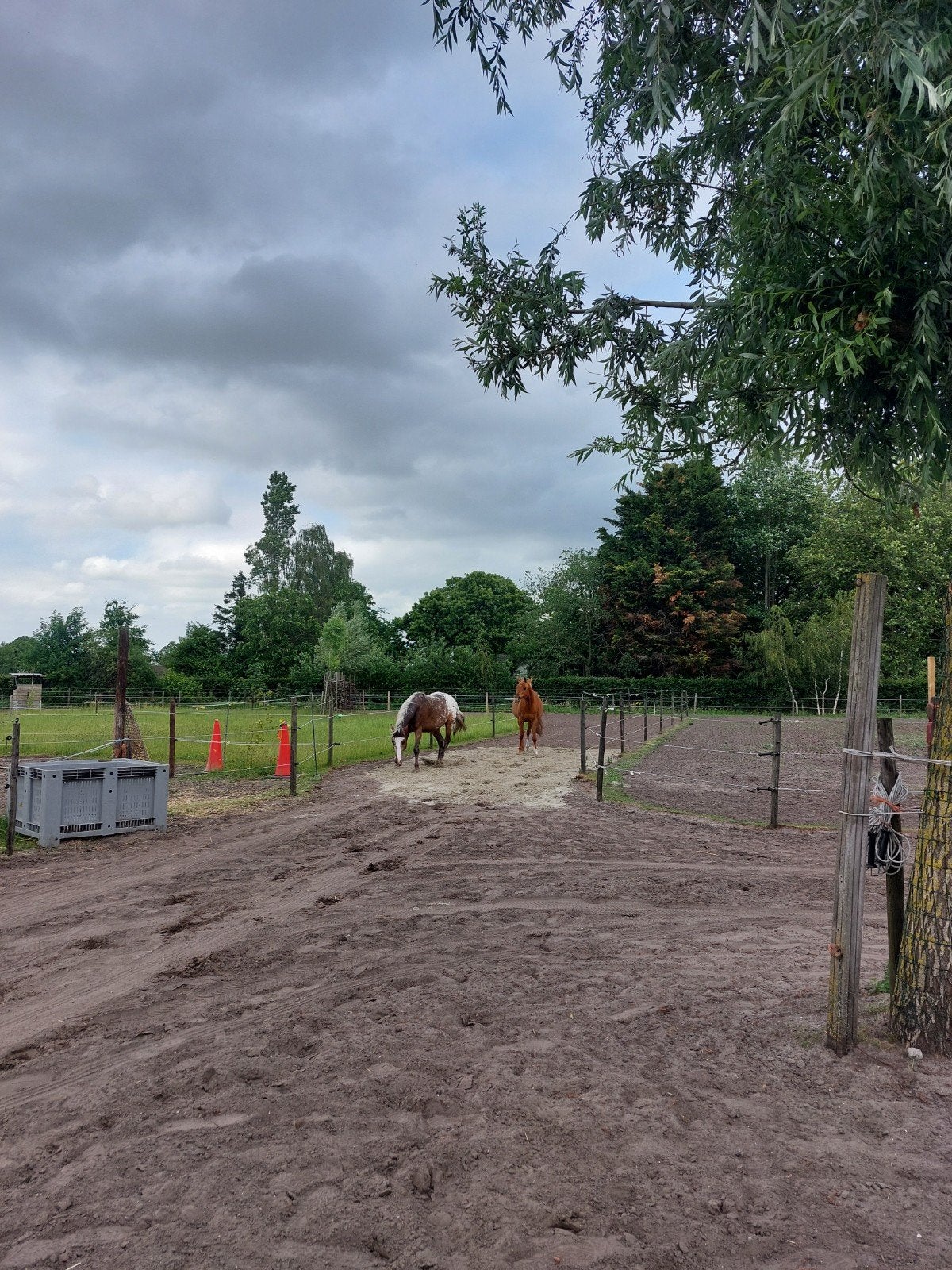 Gratis ophoogzand voor paddock gevraagd Bergen op Zoom, Tuin en Terras, Zand, Ophoogzand, Ophalen