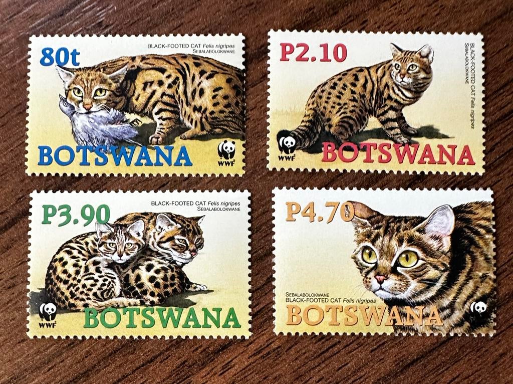 Botswana 2005 - Katachtigen (Zwartvoetkat) - Postfris, Ophalen of Verzenden, Overige landen, Postfris