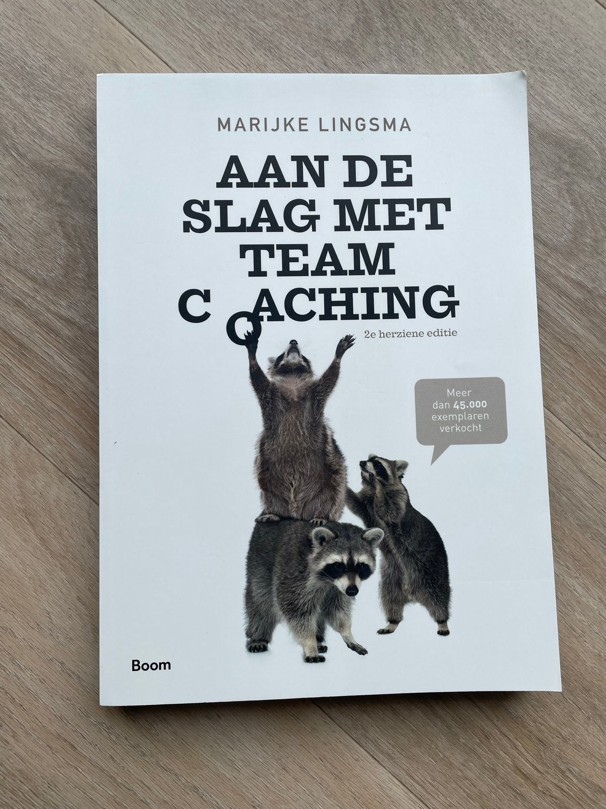 Marijke Lingsma - Aan de slag met teamcoaching, Ophalen of Verzenden, Nieuw, Marijke Lingsma