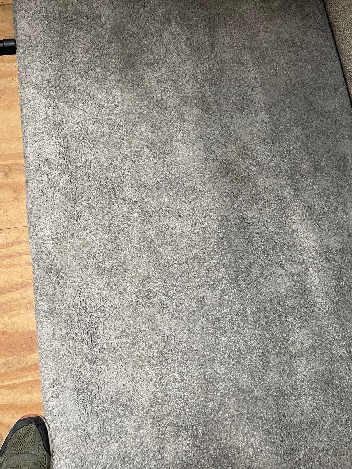 Vloerkleed 170x240, Ophalen, 200 cm of meer, Zo goed als nieuw, Grijs
