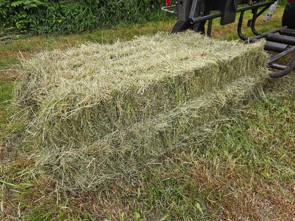 Midi hooibalen 1e snede natuurhooi, voor paarden en schapen., Dieren en Toebehoren, Ophalen, Vee