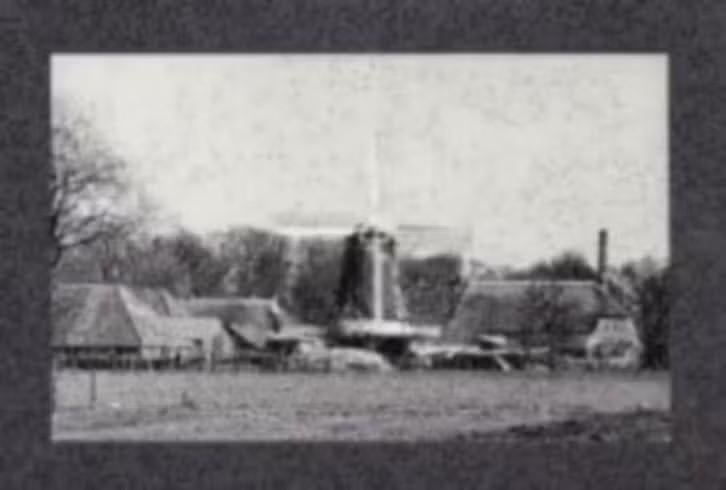 Foto Wachtum Molen Boerderijen Jaren 70., Foto, Ophalen of Verzenden, Zo goed als nieuw, 1940 tot 1960