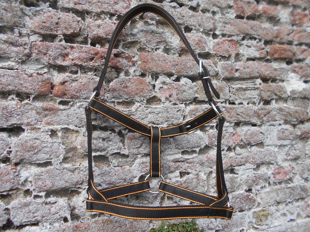 9x Zware nylon Trekpaard halster., Ophalen, Overige disciplines, Handgemaakt, Meerkleurig