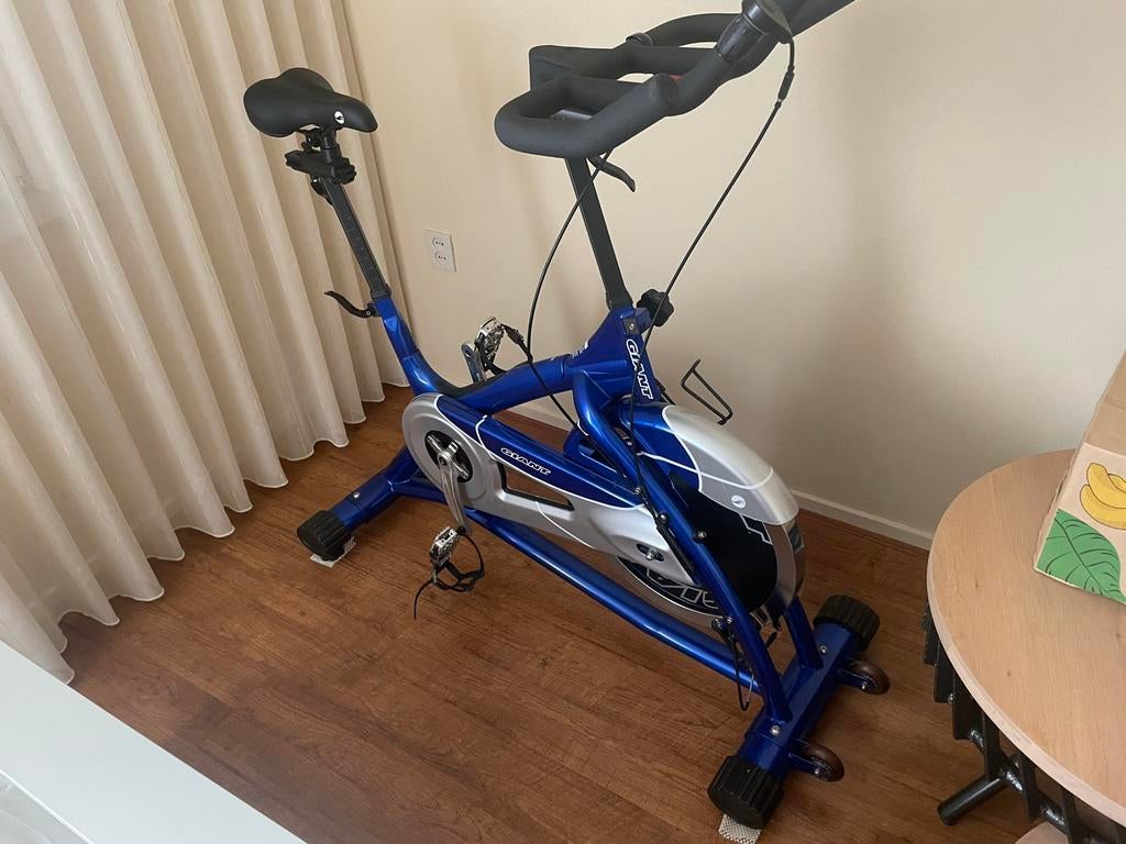 Giant Hometrainer/Spinningfiets met zwaar vliegwiel, Ophalen, Gebruikt, Spinningfiets, Metaal