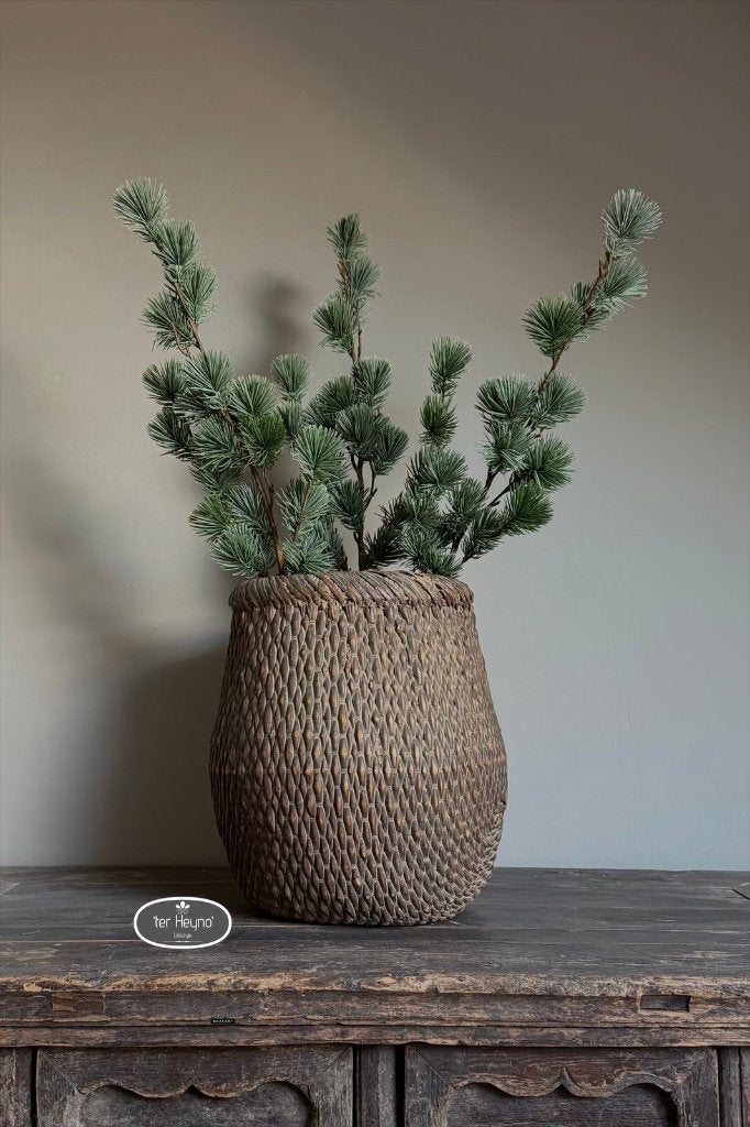 Kerst tak ceder kunst cedrus kersttak stoer sober landelijk, Groen, Verzenden, Countryfield, Handgemaakt