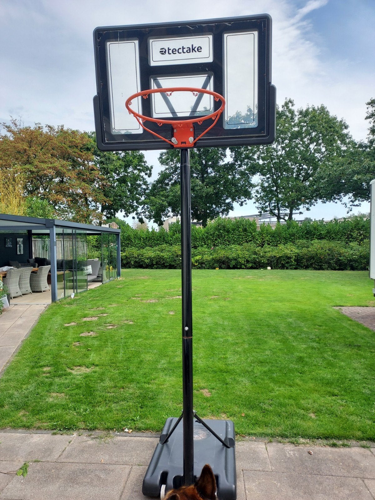 Tectake Basketbalring met standaard, Sport en Fitness, Basketbal, Ophalen, Gebruikt, Ring, Bord of Paal