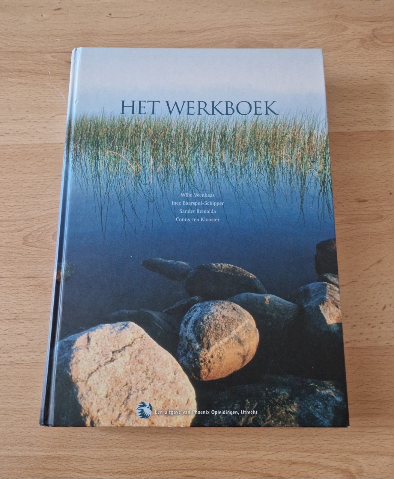 boek het werkboek wibe veenbaas phoenix opleiding, Ophalen of Verzenden, Beta, Zo goed als nieuw, HBO