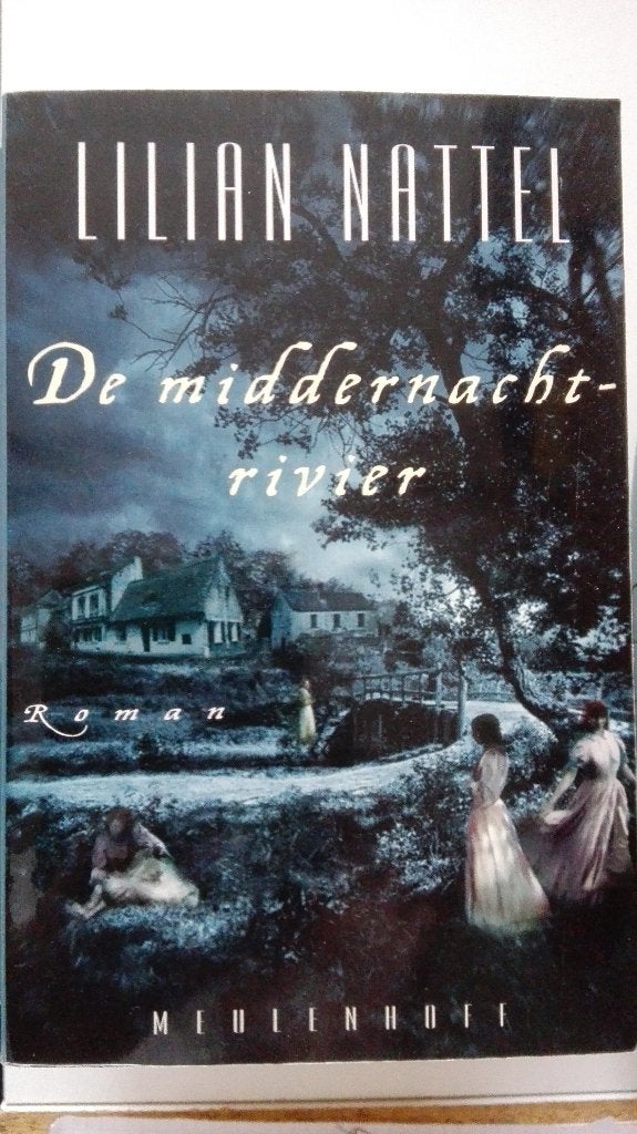 Lilian Nattel - De middernachtrivier, Boeken, Ophalen of Verzenden, Gelezen