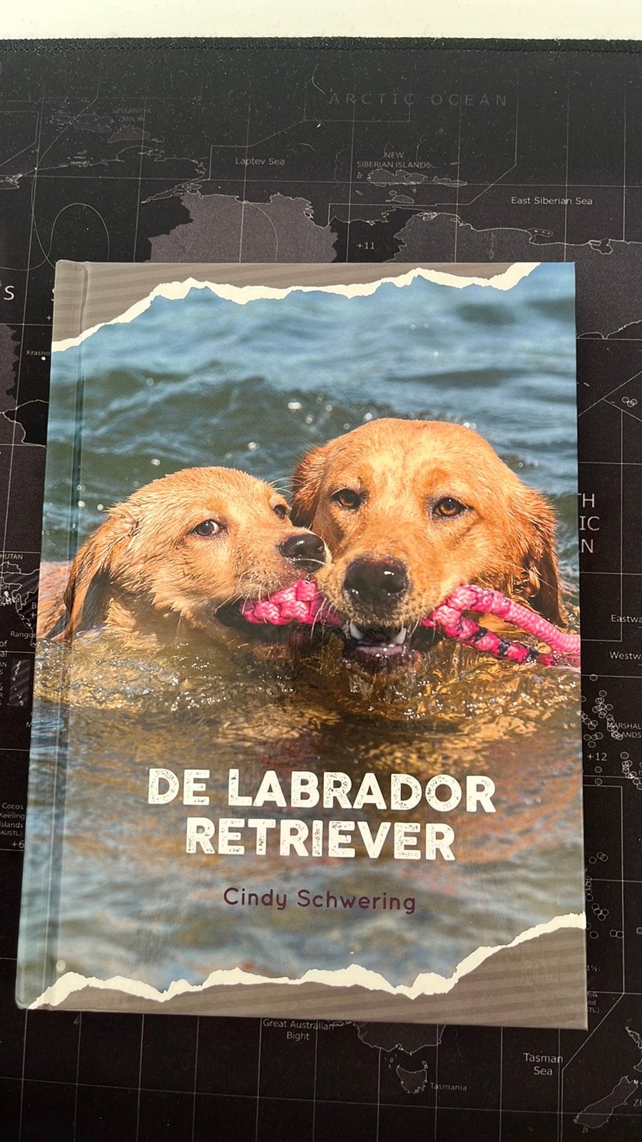 De labrador retriever, Ophalen, Zo goed als nieuw, Honden