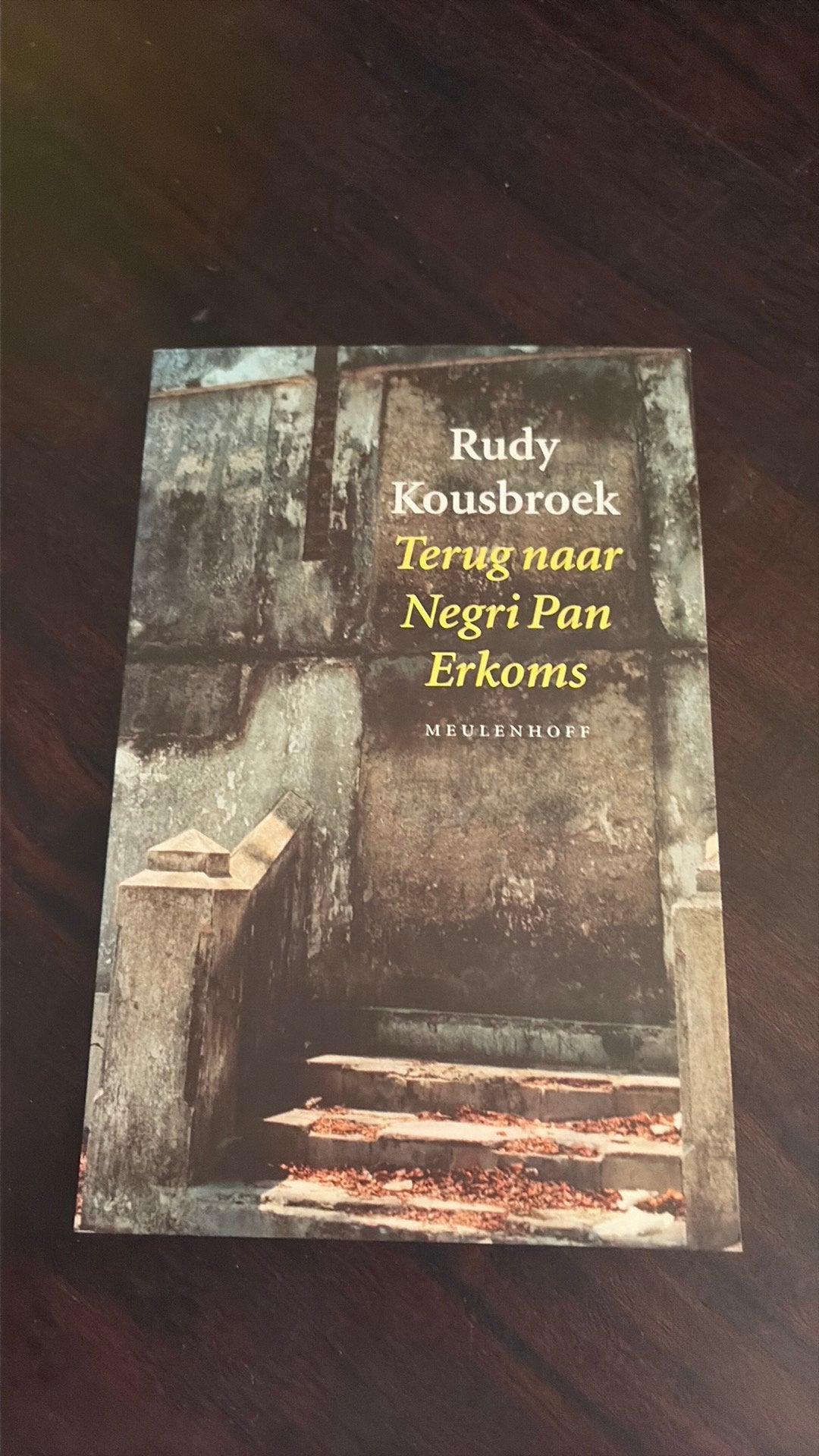 Terug naar Negri Pan Erkoms - Rudy Kousbroek, Boeken, Ophalen of Verzenden, Gelezen, Rudy Kousbroek