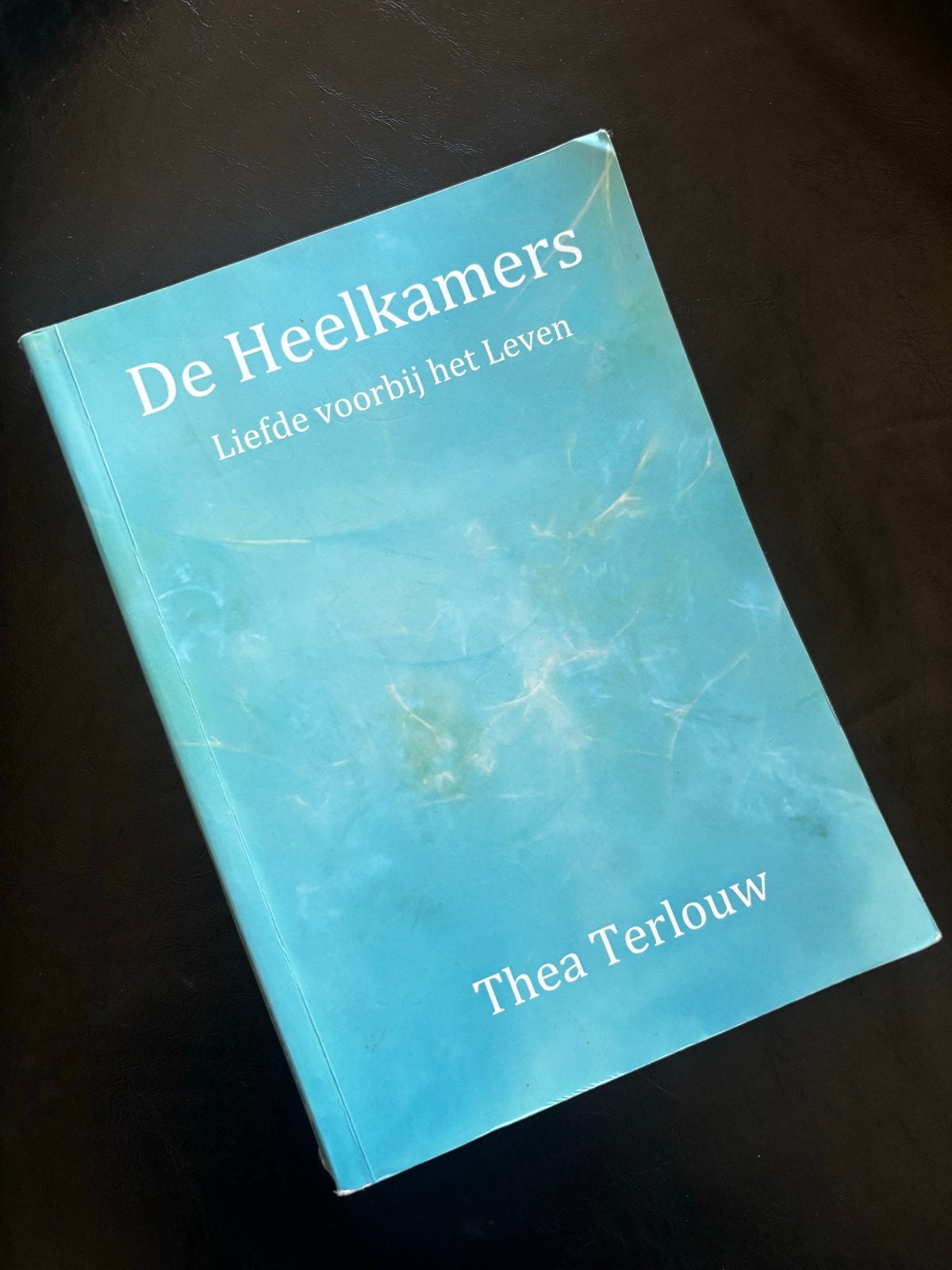 De Heelkamer: Liefde voorbij het Leven - Thea Terlouw, Boeken, Ophalen of Verzenden, Gelezen, Nederland