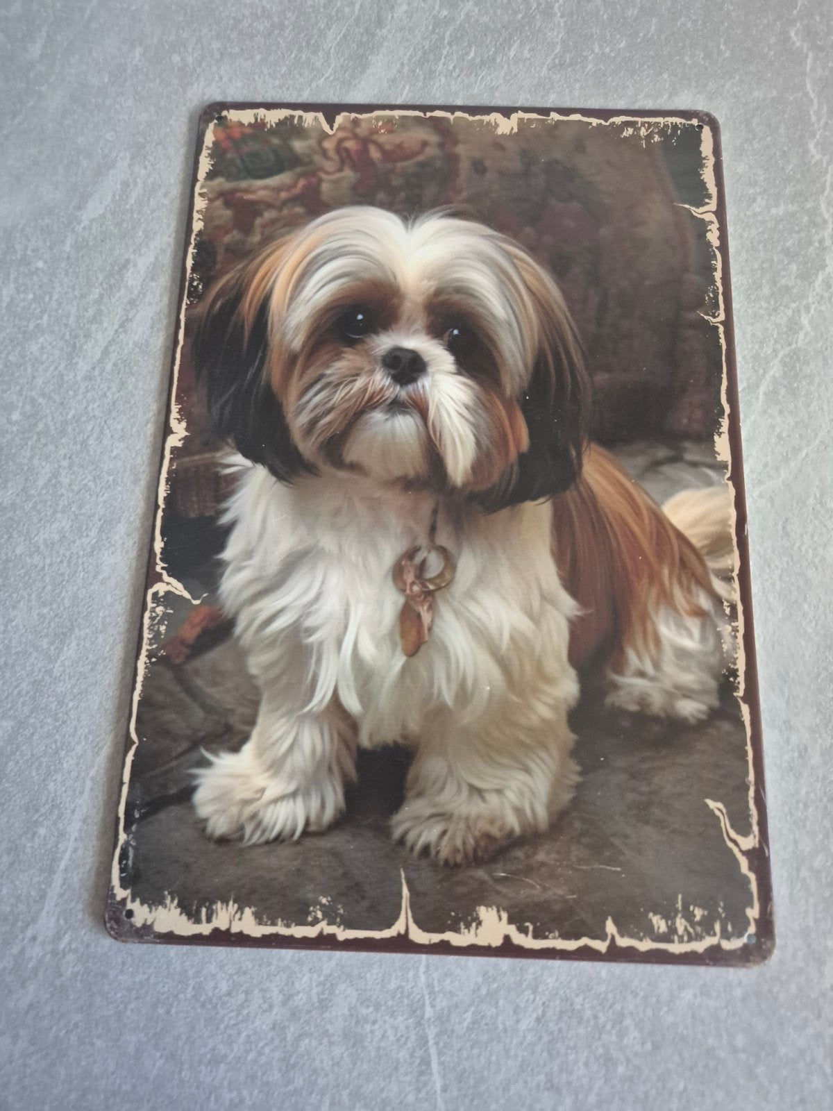 Leuke metalen plaat met Shih Tzu hond, Minder dan 50 cm, Gebruikt, Overige typen, Ophalen of Verzenden