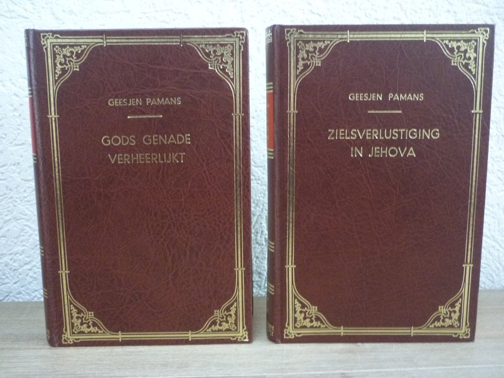 Geesjen Pamans: Gods genade verheerlijkt /Zielsverlustiging, Boeken, Ophalen of Verzenden, Zo goed als nieuw, Christendom | Protestants