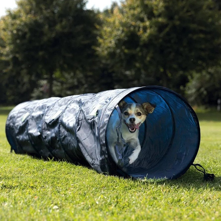 Trixie Dog Activity Agility Tunnel - Hondensport - 200x40 cm, Dieren en Toebehoren, Hondenspeelgoed, Ophalen of Verzenden, Gebruikt