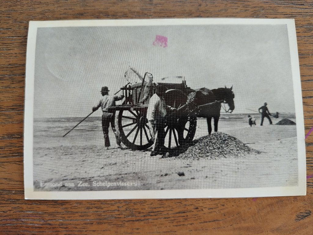 Egmond aan zee schelpenvissers, Ophalen of Verzenden, Voor 1920, Noord-Holland
