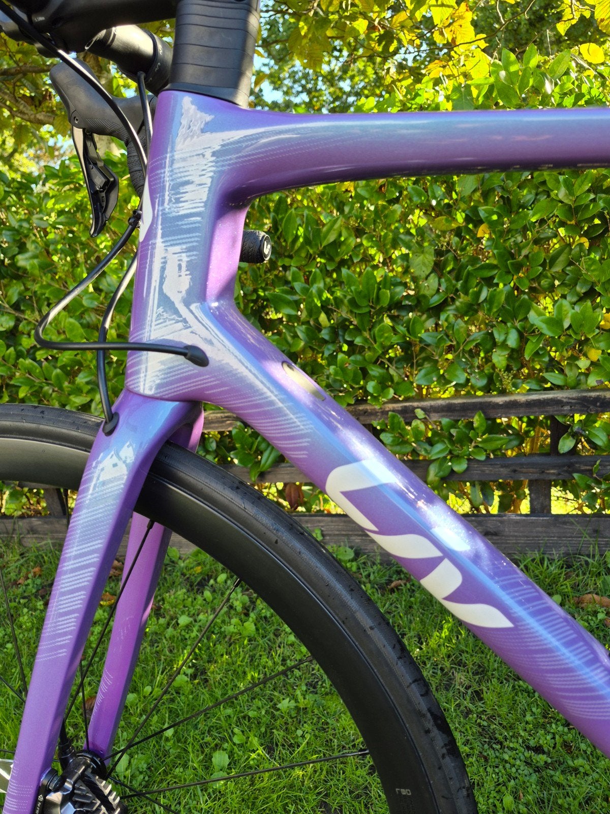 Liv/Giant Langma pro!NIEUW!!Inruil mogelijk. Maat L, 28 inch, Carbon, Nieuw, 49 tot 53 cm