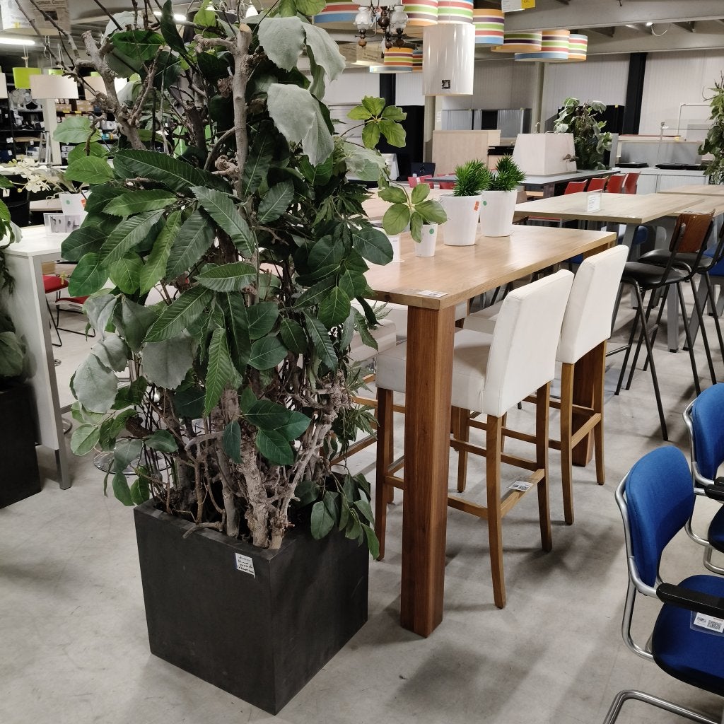 Antraciet pottery pots kunstplant in vierkante bak - 180 cm, Niet ingevuld, Gebruikt, Niet ingevuld, Niet ingevuld