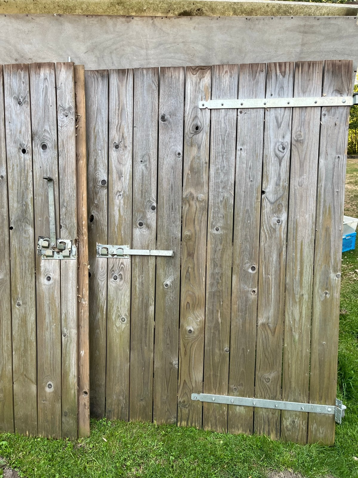 Douglas Houten Tuinpoort / Garagedeur - 135x200 cm, Tuin en Terras, Tuinpoorten, Ophalen, Gebruikt, 100 tot 150 cm, Draaipoort