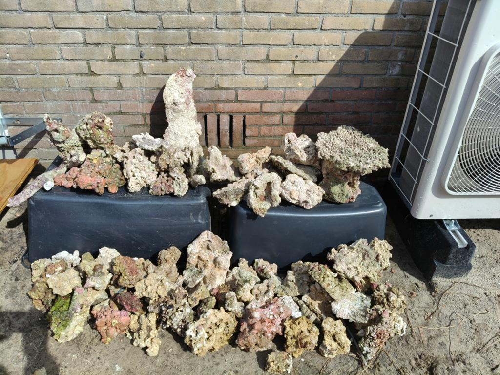 Zeeaquarium Steen | rifpilaar, branches, platen, Ophalen, Plant(en), Steen of Hout