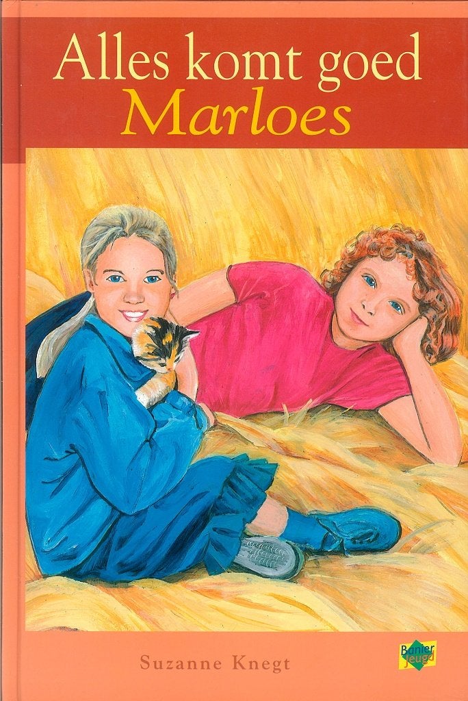 Alles komt goed Marloes Suzanne Knegt 9033625784, Boeken, Ophalen of Verzenden, Zo goed als nieuw, Suzanne Knegt
