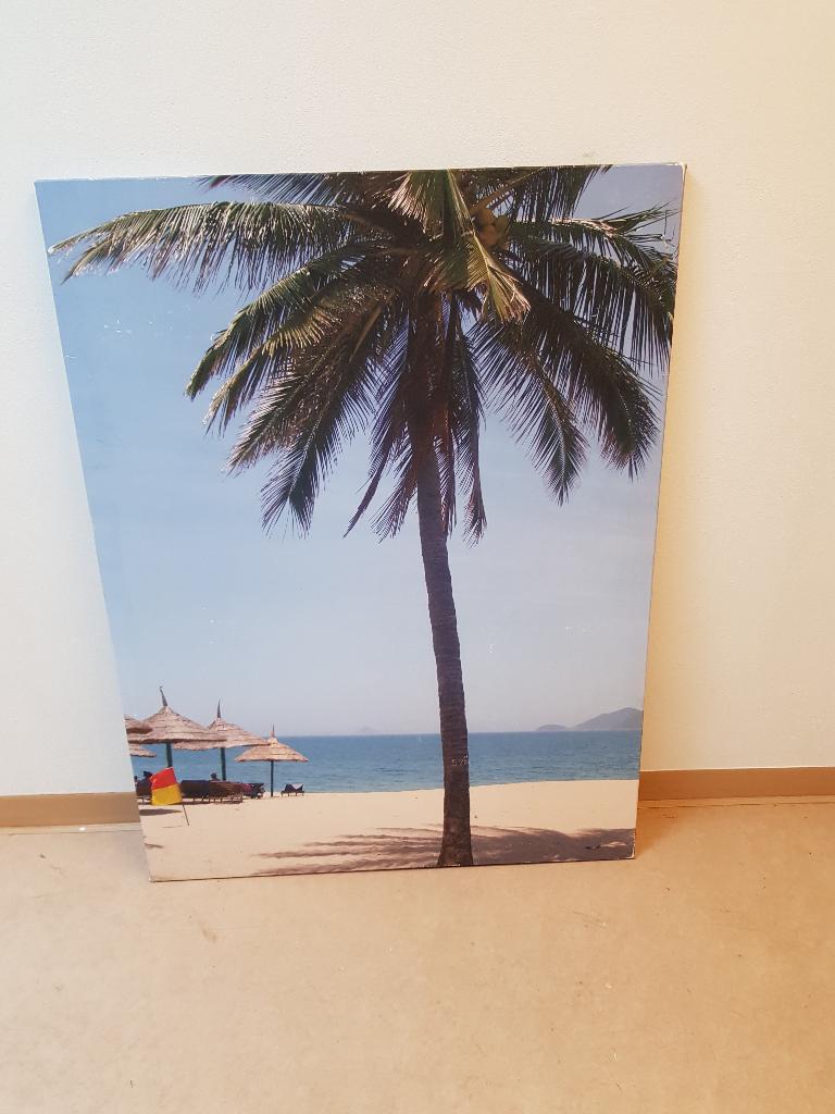 Canvas Schilderij - Palm aan zee 20,-, Ophalen, Overige typen, Zo goed als nieuw, 100 tot 125 cm