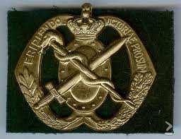 GEZOCHT: materiaal van 177zaucie, 103 gnk.bat. 102 gnk.gr, Verzamelen, Militaria | Algemeen, Verzenden, Landmacht, Nederland, Embleem of Badge