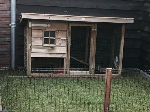 Konijnenhok kippenhok, Dieren en Toebehoren, Ophalen, Gebruikt, Overige typen
