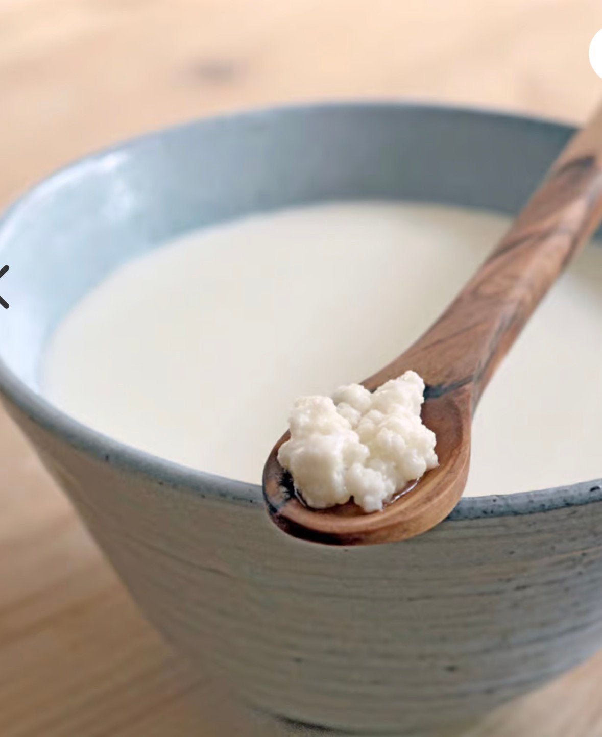Kefir korrels melk, Diversen, Ophalen