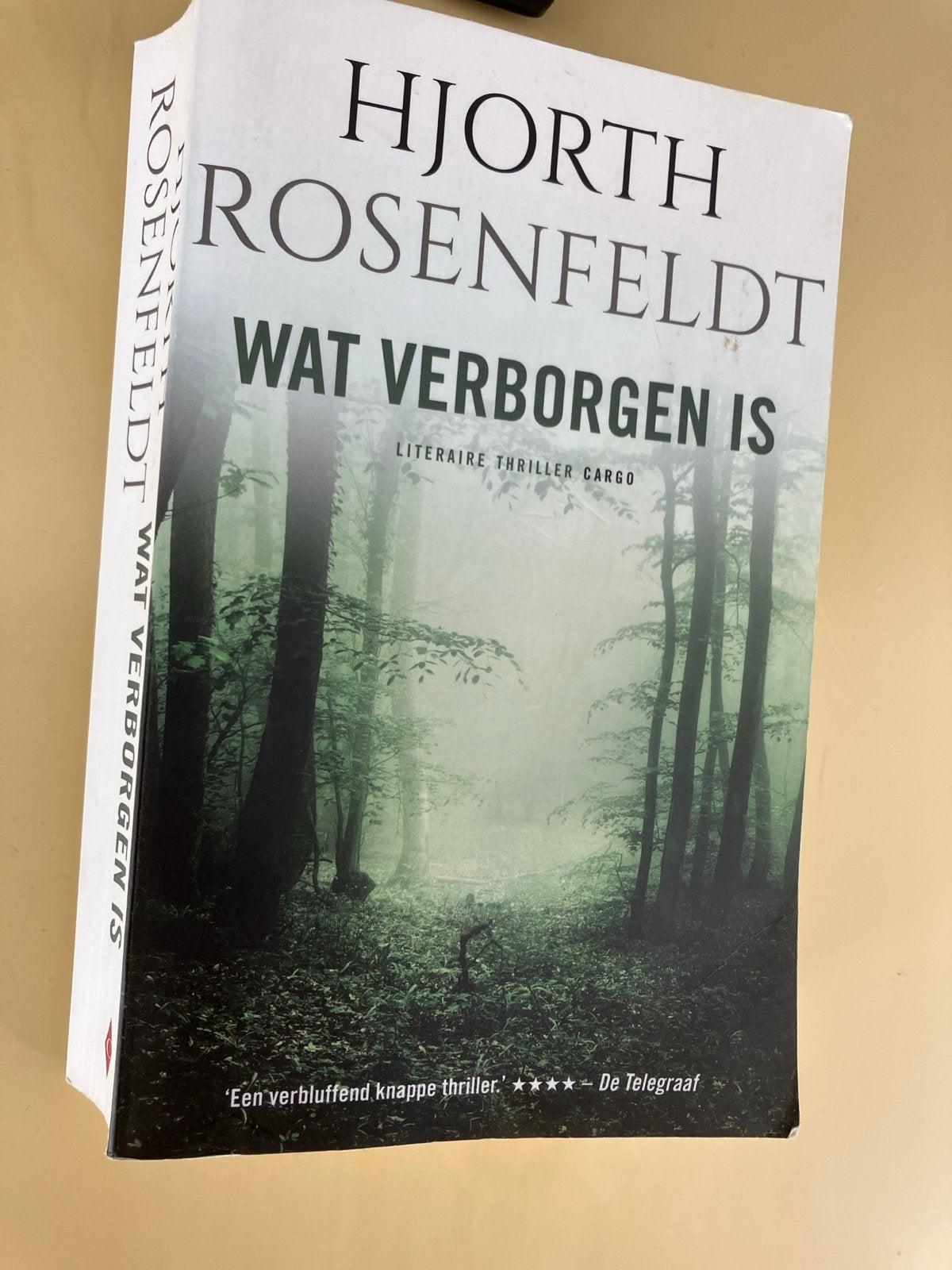 Hjorth Rosenfeldt - Wat Verborgen Is (Literaire Thriller), Ophalen of Verzenden, Gelezen, Scandinavië