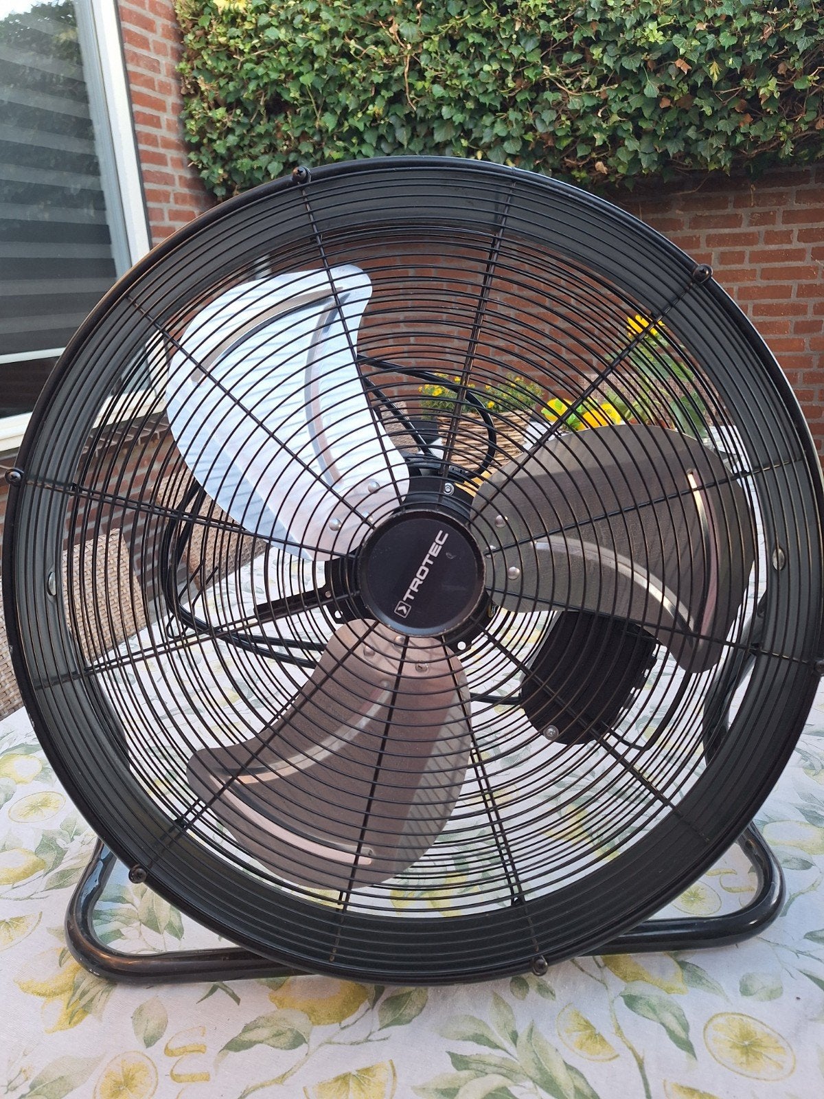 ventilator  Trotec  €65, Ophalen, Gebruikt, Vloerventilator