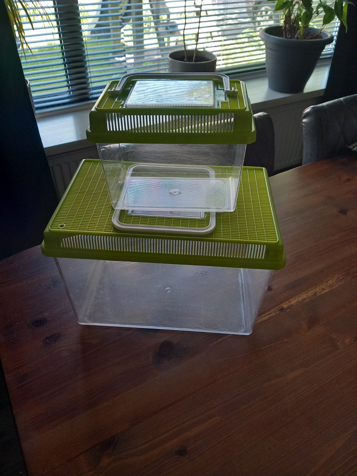 Ferplast transportbakken reptiel/ kleine knaagdieren., Ophalen of Verzenden, Zo goed als nieuw