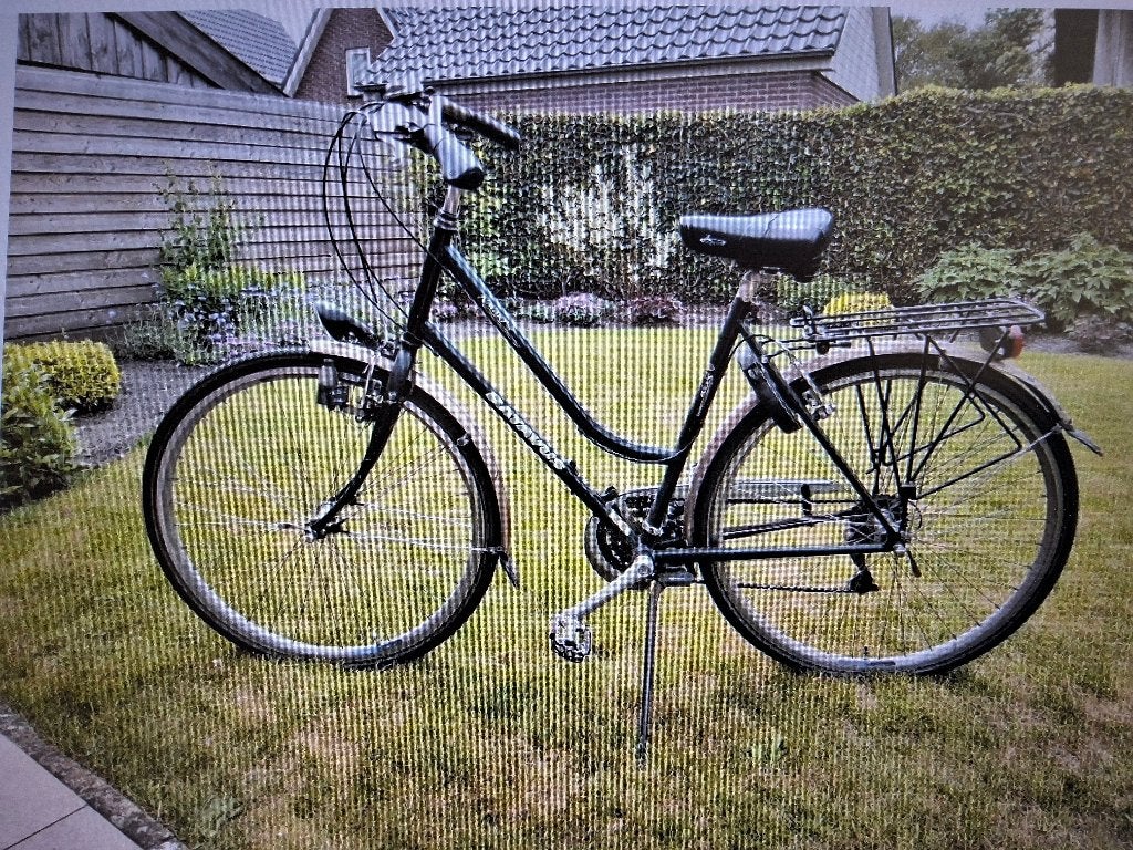 Damesfiets Batavus Navajo, Ophalen, Velgrem, Batavus, Versnellingen