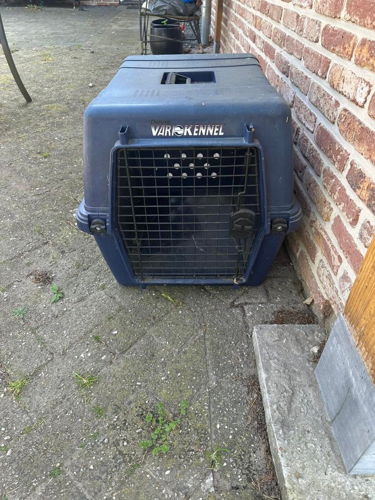 Reismand hond/kat bench, Ophalen, Gebruikt
