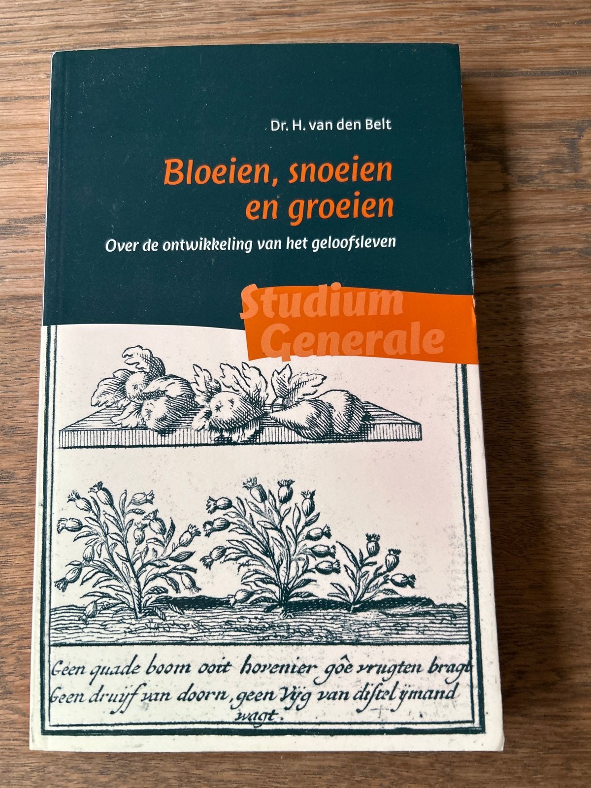 Bloeien, snoeien en groeien - Dr. H. van den Belt, Boeken, Ophalen of Verzenden, Zo goed als nieuw