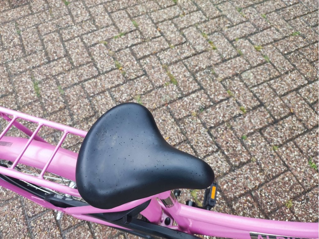 Alpina meisjes 22 inch zeer mooi . 2 maal, Terugtraprem, 22 inch, Gebruikt, Niet ingevuld