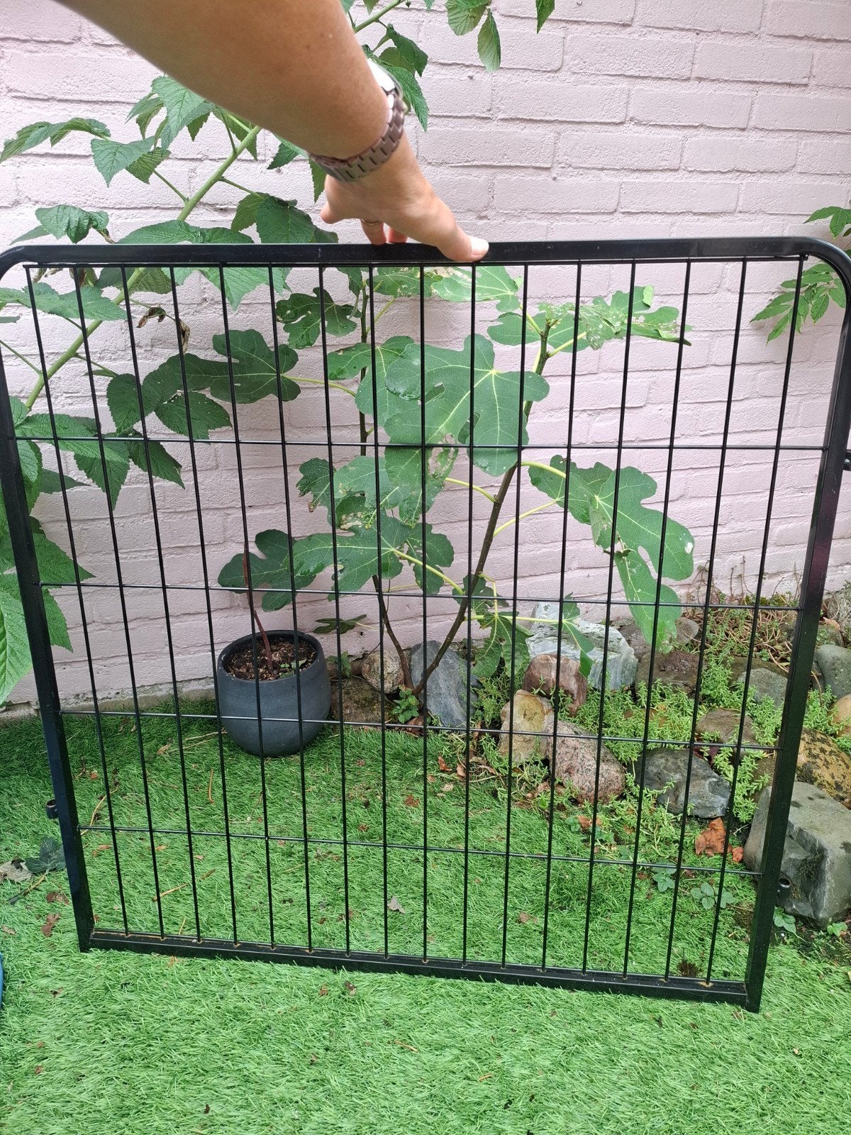 puppy/honden ren, Ophalen
